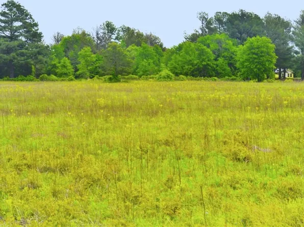 6005 Conifer Ct, Poolville, TX 76487