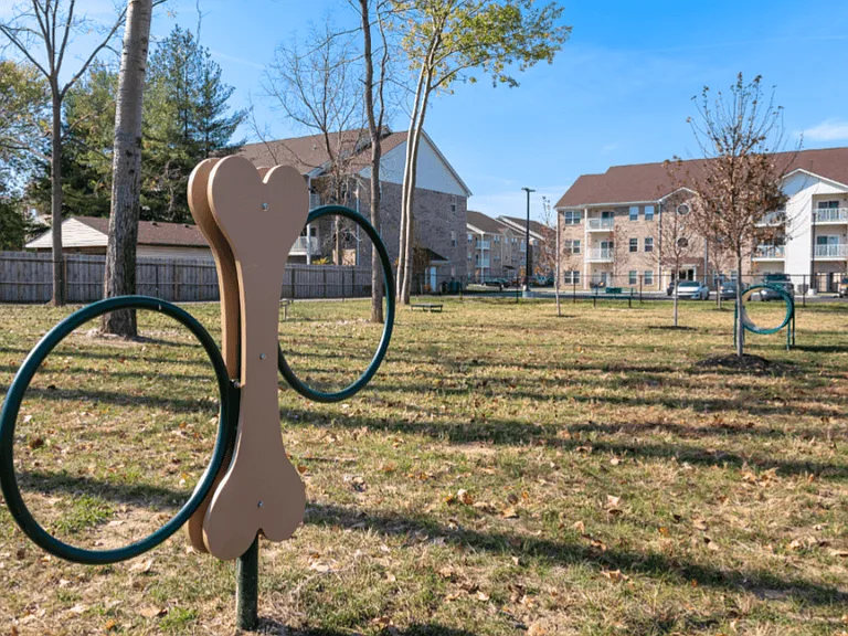 The Court at Sandstone Apartments — Photo 39