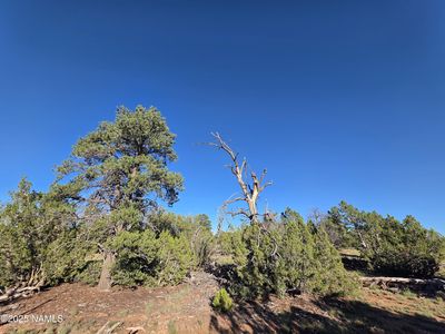 50231228A Red Butte Rd PARCEL 50231228A, Williams, AZ, 86046