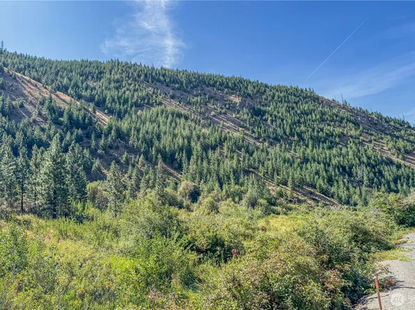 10558 Mud Creek Road, Entiat, WA 98822