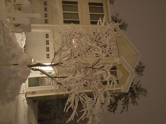 Front of the building.