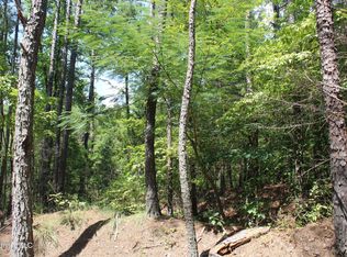 2999 Reaves Rd, Ashland, MS 38603