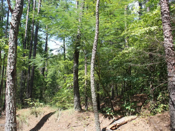 2999 Reaves Rd, Ashland, MS 38603