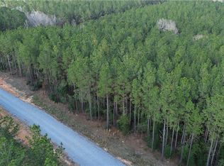 LOT 8 N Bethel Rd, Franklinton, LA 70438