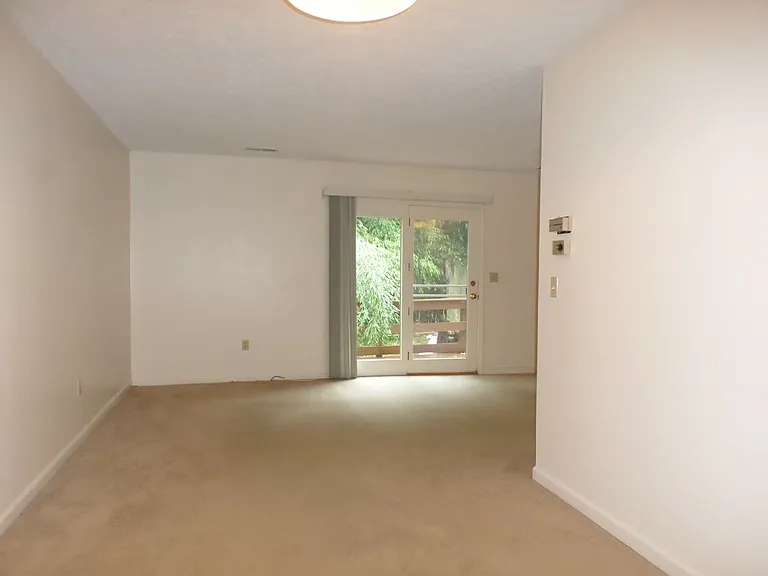 1724 Emerald St — Photo 17