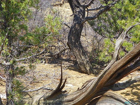 5th image of Goat Ranch Rd