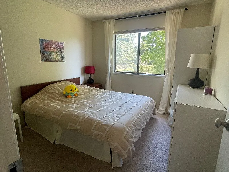 2 bed, 1.5 bath, 1365 sqft, $2,895 — Photo 2