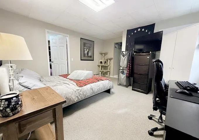 384 Blue Mountain St #BASEMENT — Photo 8