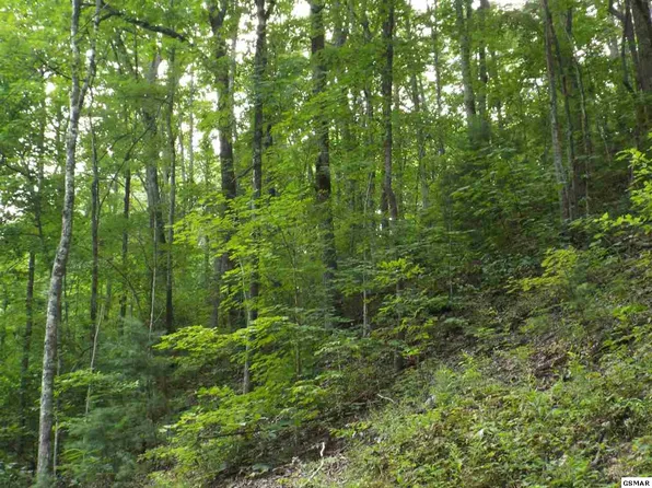 Tsali Dr, Sevierville, TN 37876
