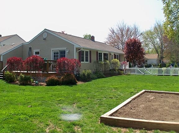 View from the backyard. 