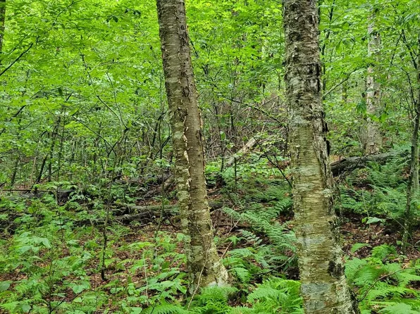 00 Heartwellville View Road #39, Readsboro, VT 05350