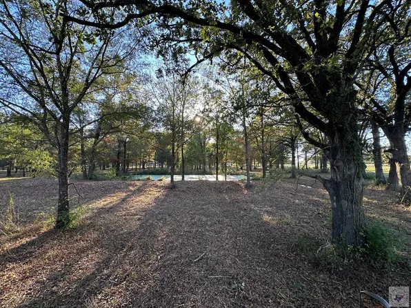 446 County Road 4001, New Boston, TX 75570