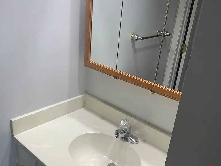 Master bathroom sink/mirror
