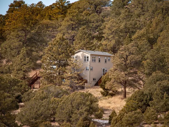 653 Keepsake Loop, Westcliffe, CO 81252