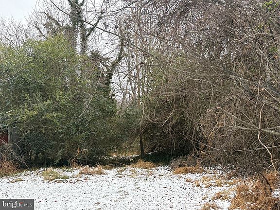 3rd image of 0 Main St