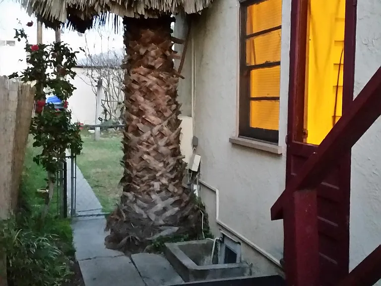 4433 Illinois St #4433 — Photo 6
