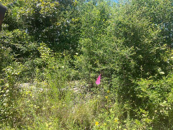 2nd image of Poor Ridge Run Rd