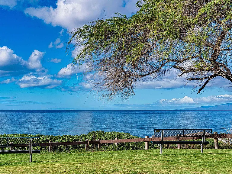 S Kihei Rd — Photo 43