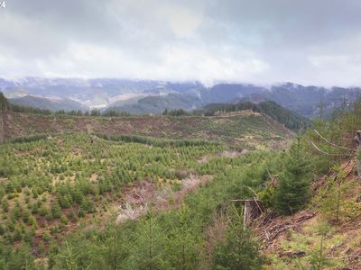 Logsden Rd, Logsden, OR, 97357