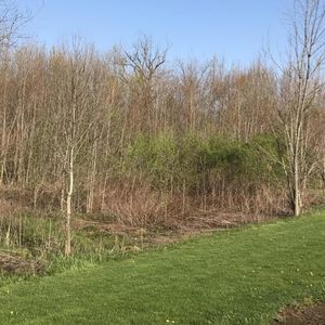 7466 Davis Rd, Hilliard, OH, 43026