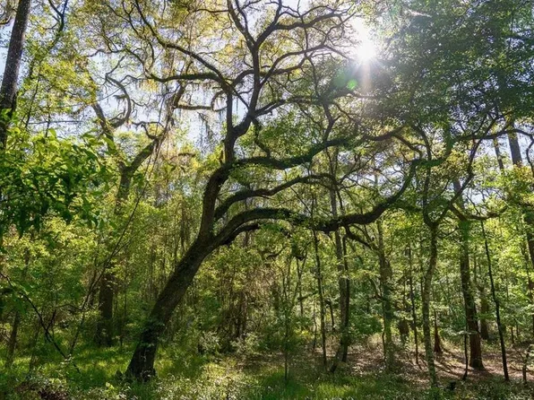 LOT 10 10th Ter Lot 10, Live Oak, FL 32060