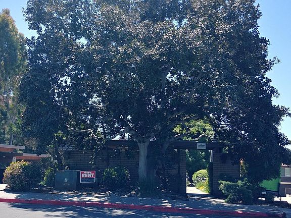 5637 Lake Park Way, Street View with mature shade trees