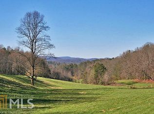 12106 Doublehead Gap Rd, Ellijay, GA 30536