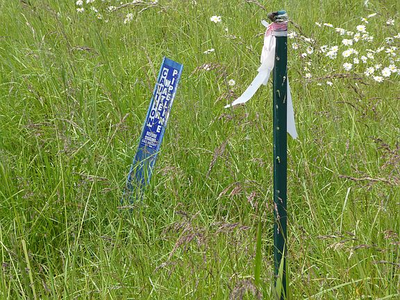 Well and Irrigation water