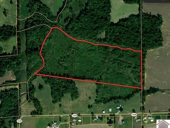 2nd image of 115 County Road 1039