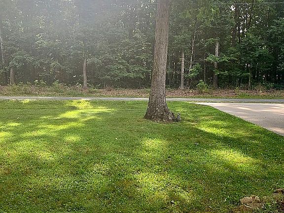 4th image of 307 Sheffield Ln