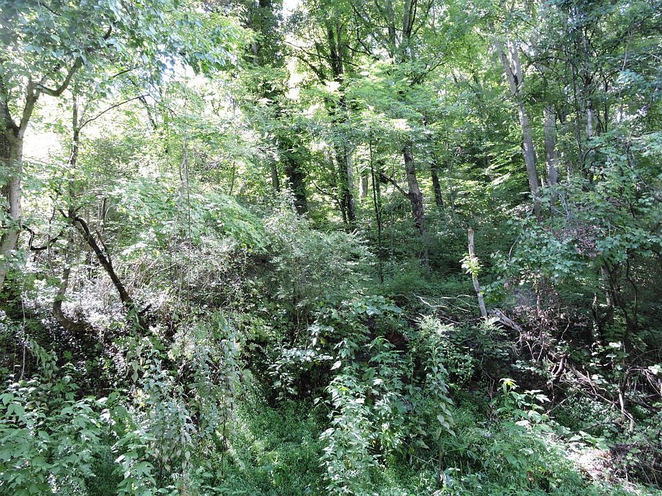2nd image of 1109 Brush Valley (west) Rd