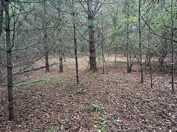 4th image of 2678 Moncove Lake Rd