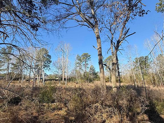 3rd image of 513 State Highway 323 E
