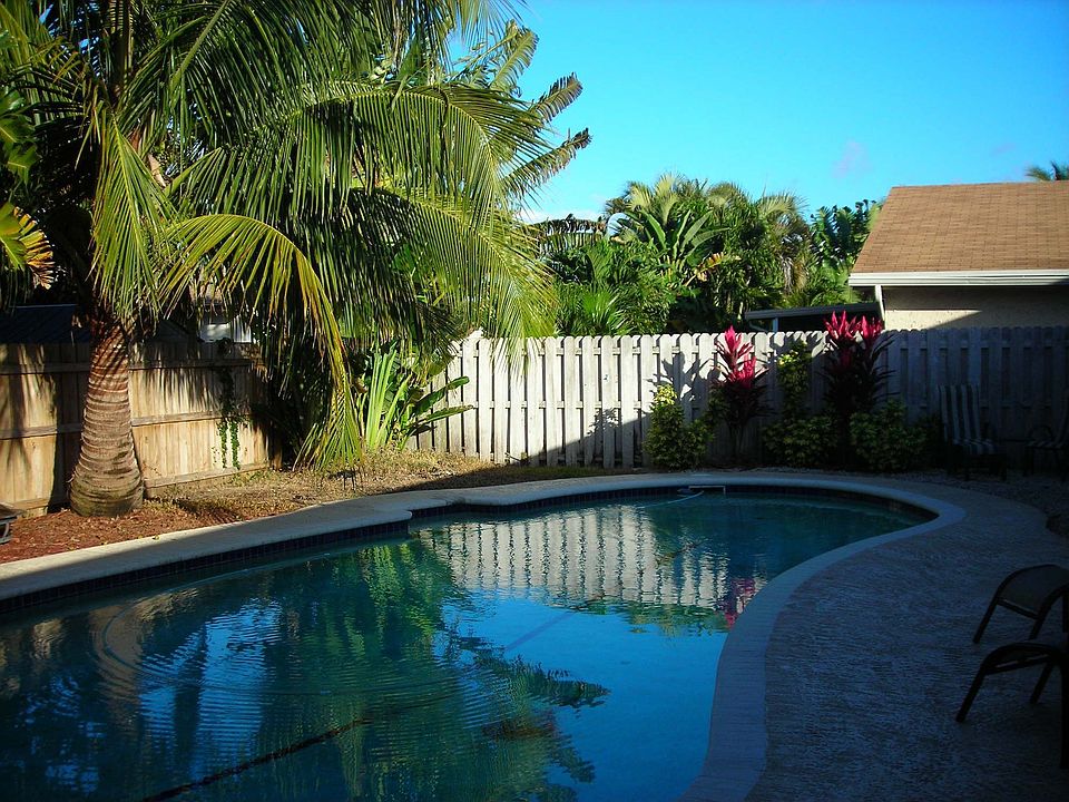 Backyard oasis