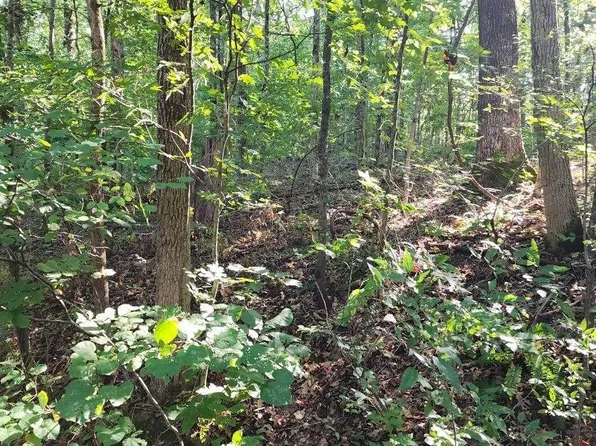LOT 21S-1A 56 #57, Doniphan, MO 63935