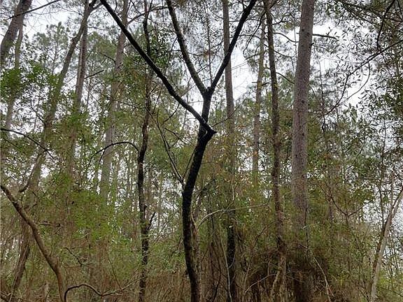 5th image of Beta Ave