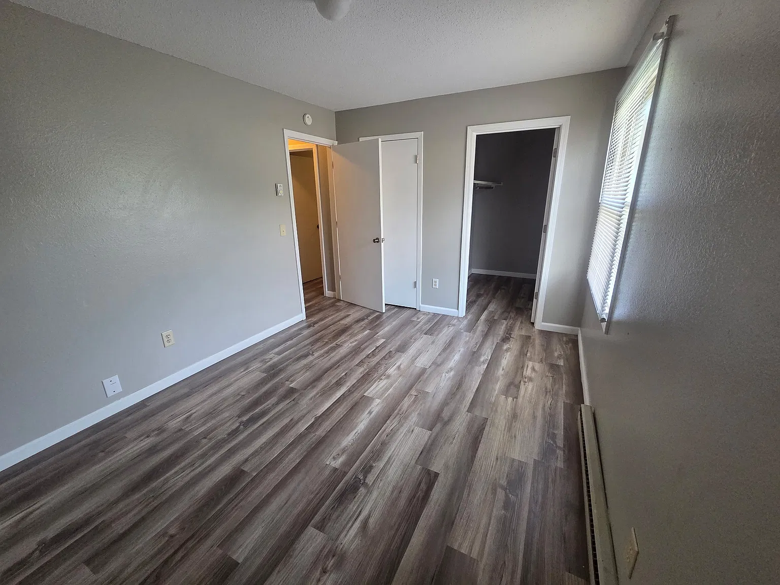 1 bed, 800 sqft, $875 — Photo 3