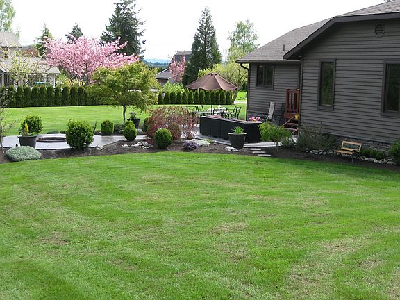 Huge back yard