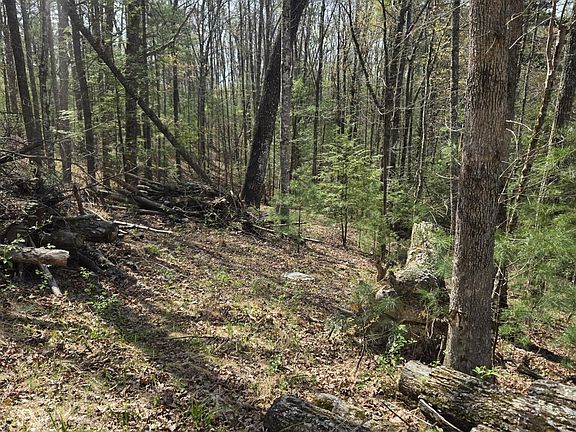 3rd image of 999 Victory Falls Rd Lot 11
