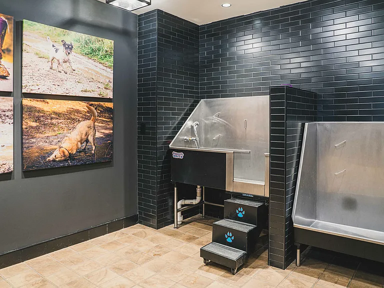 Modera Germantown features a convenient pet spa, offering a luxurious retreat for your pets.