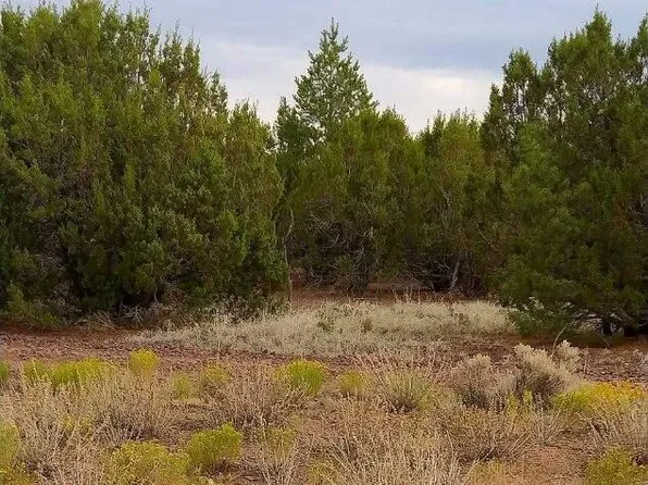 71 County Road 8148 4 N, Concho, AZ 85924