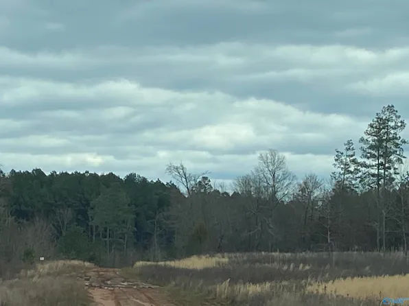 2470 Bluff City Rd, Somerville, AL 35670