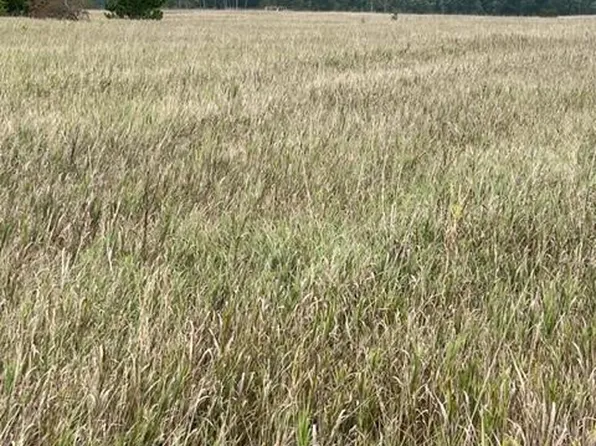 County Road 3, Fifty Lakes, MN 56448