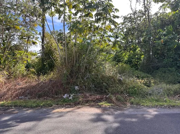 Mauna Kea Dr Lot 60, Pahoa, HI 96778