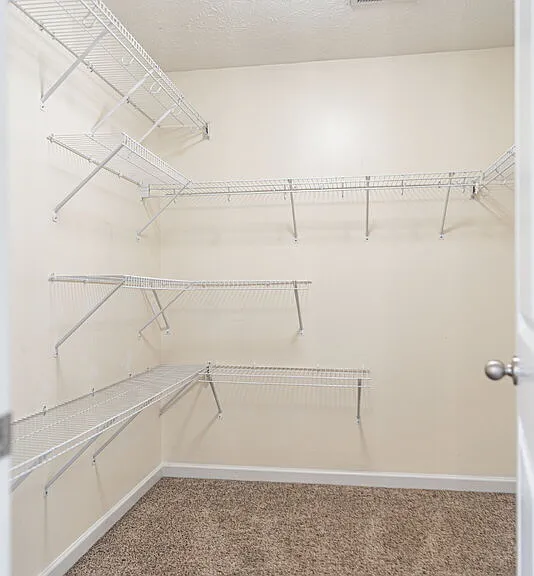 289 Strike Eagle Dr — Photo 16