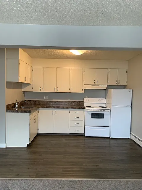 1 bed, $1,100 — Photo 2