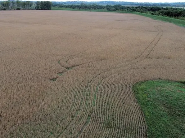 County Road 412, De Witt, MO 64639