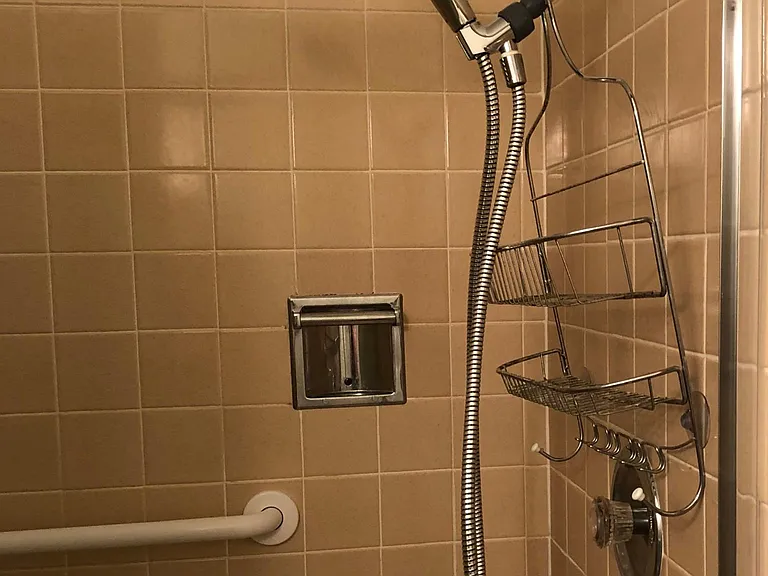 Master Bathroom - Part 2