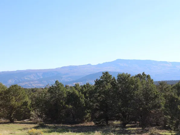 215 County Road 22a, Montrose, CO 81403