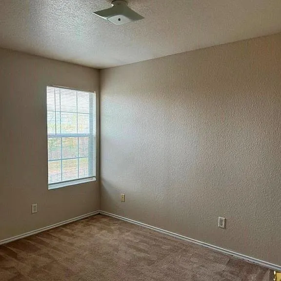 4309 Mattie Dr #D — Photo 21
